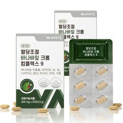 비타민마을 혈당조절 바나바잎 크롬 컴플렉스9 15g, 2개