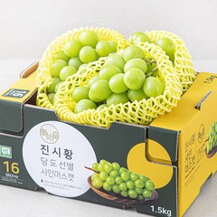 진시황 GAP 인증 비파괴당도선별 샤인머스켓, 1개, 1.5kg