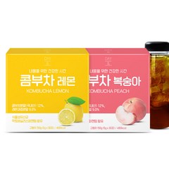 데이앤 콤부차 레몬 5g x 30p + 복숭아 5g x 30p + 전용보틀, 30개입, 1세트