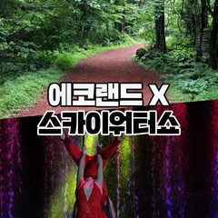 [제주] 제주 에코랜드+스카이워터쇼