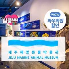 [제주] (♥혜택관광지+1♥) 제주해양동물박물관