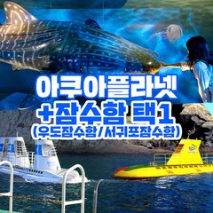 [제주] 제주 아쿠아플라넷+서귀포잠수함