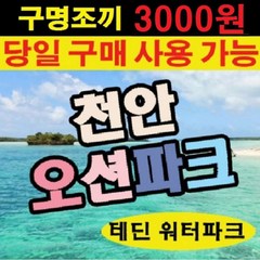 [천안] [당일가능] 오션어드벤처 종일권 (구명조끼포함) 시즌특가 -문자전송가능