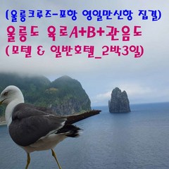 [출발확정] [울릉크루즈-포항집결]울릉도 육로A-B+관음도 (모텔&일반호텔_2박3일)