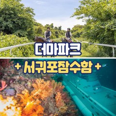 [제주] 제주 더마파크+서귀포잠수함 공연 카트 승마 이색체험 잠수함