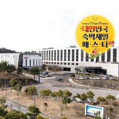 [제주] 호텔 난타