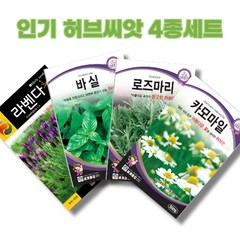 허브씨앗 4종 세트 1set 바질 라벤다 로즈마리 카모마일 씨앗, 2세트