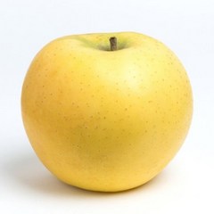 천상의맛 고당도 원조품종 시나노골드 사과, 1개, 5kg