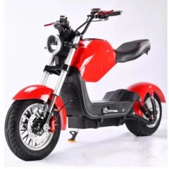전기 오토바이 와이드 타이어 전기 자동차 시티코코스쿠터 2000W 10 인치 20ah, 1.red
