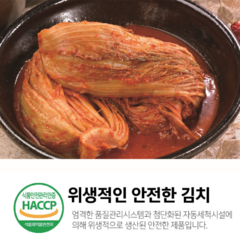 [30년 전통] 김치 품평회 2년연속 최우수상 진선미 포기김치, 3kg, 1박스