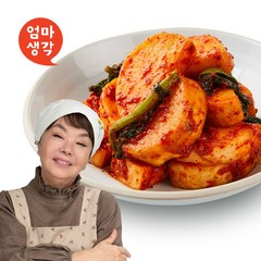 김수미 김치 엄마생각 갓석박지 2kg, 1개