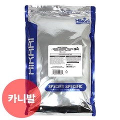 히카리 캣피쉬 (싱킹카니발) 1kg, 1000g, 1개
