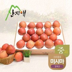 산지애 [2023 햇사과] 산지애 알뜰 못난이사과(중과) 4.5kg 1box / 당도선별 경북산 미시마, 단일옵션