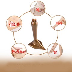 1+1 림프 순환 마사지기 셀프 경락 군살 붓기 방지