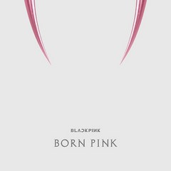 블랙핑크 (BLACKPINK) - 2nd ALBUM [BORN PINK] 키트앨범