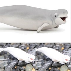 벨루가 흰돌고래 아이장난감 흰돌고래피규어