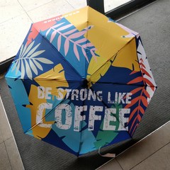 접이식 벚꽃 자동 장우산 우산 스타벅스 선물용