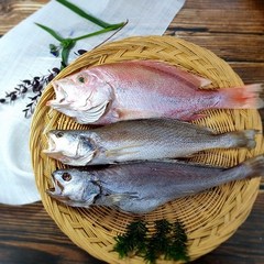 부산 반건조 생선 제수용 세트 특별 구성 상품, [best] 중 - 몽세트 (민어조기/돔/참민어), 1개