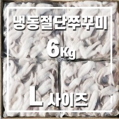 베트남 냉동 쭈꾸미 L 사이즈 6kg, 1개