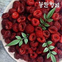 새콤달콤 포항 산딸기 1kg 급냉 신선포장, 1개