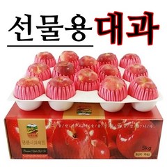 [사과선물세트] 청송사과 대과 5kg 선물용 재수용, 1박스, 04.프리미엄_최고급 특대과 5kg (09~11과내외)