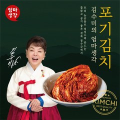 [김수미김치] 김수미 국산 김치 더프리미엄 배추 포기 김치 5kg, 1개