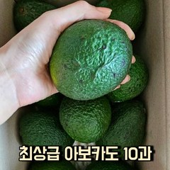 (최상급보장) 멕시코산 아보카도 10과 아보카도2kg 아보카도중과 아보카도대과 멕시코산 최상급 과일아보카도 avocado, 10개, 220g내외