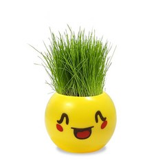 홈 장식 잔디 머리 인형 를위한 DIY 공장 실내 정원 발코니 심기 꽃병 꽃 냄비, 02 Lovely Grass Head