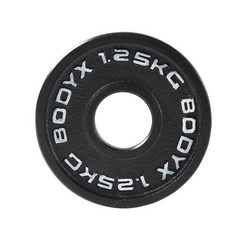 바디엑스 바디엑스 [낱개] 케이언 중량원판 1.25kg 홀 50mm 주물 아이언, 단일옵션, 1개