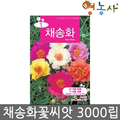 채송화씨앗 중포장 3000립, 채송화중포장, 채송화중포장