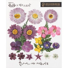 체크스토리 압화꽃 공예 B타입, 06 우아한퍼플