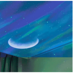 이쏘코리아 오로라 무드등 은하수 우주 별자리 달 우주인 블루투스 스피커 IMB100, 단품