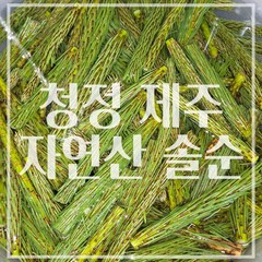 [23년산지당일채취] 청정 제주 화산석 자연산 솔순 소나무순 3kg 5kg 10kg 생솔순 제주도 직발송, 2개