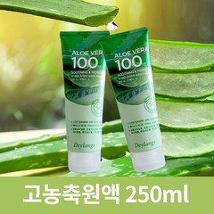 데이랑스 프리미엄 알로에 수딩젤 100 튜브형, 6개, 250ml