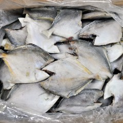 푸드마을 냉동 생선 손질 병어 4kg 내외 1박스 (55~60마리 내외), 1개
