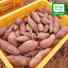 친환경팔도 유기농 달수고구마(상특), 1박스, (상특)3kg