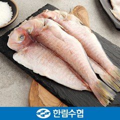 제주 한림수협 제주 특대 옥돔 5미 명품 세트 1.9kg(380g*5팩) / 옥돔 1.9kg(380g*5팩)