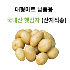 햇 감자 단골많은 집, 00. 2kg 왕특사이즈 (요리용, 1박스