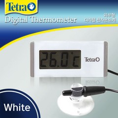 테트라 디지털 온도계 (화이트), 1개