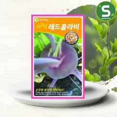 솔림텃밭몰 새싹레드콜라비씨앗 12g 레드콜라비 새싹채소씨앗, 1개