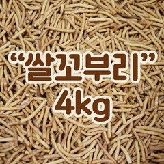 쌀꼬부리 4kg 까불이오란다 오란다만들기 오란다, 1개