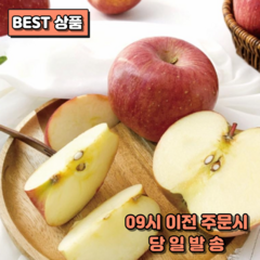 한입만더 꿀사과 깊은맛 경북 감홍 사과, 1박스, 중과2KG