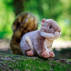 애너미고스 영국에서 온 동물친구 회색 다람쥐 인형 귀여운 동물인형, 상세 설명 참조