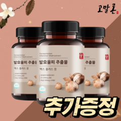 고말론 발효율피 추출물 맥스 플러스 정 1000mg, 60정, 3통