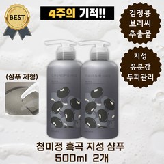 청미정 흑곡 지성 샴푸 500ml 여름용! 지성 유분 관리 두피 뾰루지 트러블 얇은 모발 청결 부드럽고 깔끔한 세정력, 2개