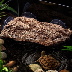 코리아터틀 거북이 코너 쉼터, 나무껍질