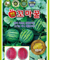 헬프팜 꼬마꿀 10립 애플수박 수박 씨앗 종자 KS종묘, 1개
