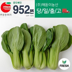 <해돋이농산> 국내산 청경채 특품 4kg 내외 1박스, 1box