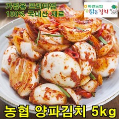 화원농협 양파김치 5kg 이맑은김치, 1개