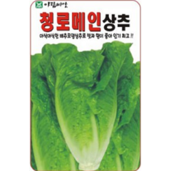 아삭아삭한 청로메인 상추씨앗(1000립)(A0375), 1개